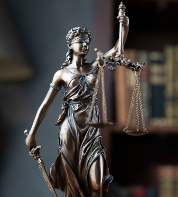 MCD Immigration Law